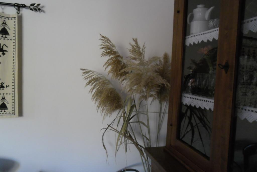 Canne Al Vento 特乌拉达 外观 照片