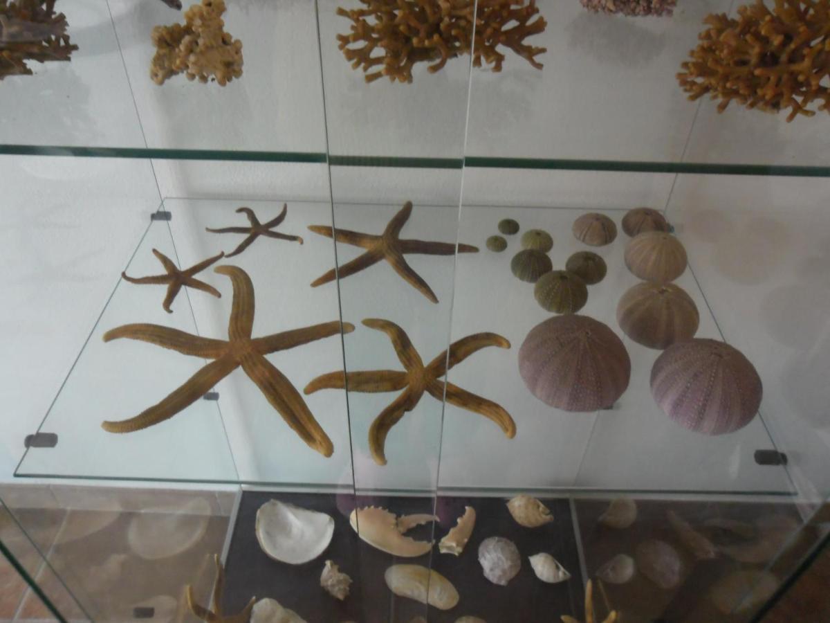 Canne Al Vento 特乌拉达 外观 照片